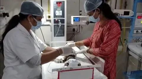 Infant Buried Living in the Country Battles for Her Life